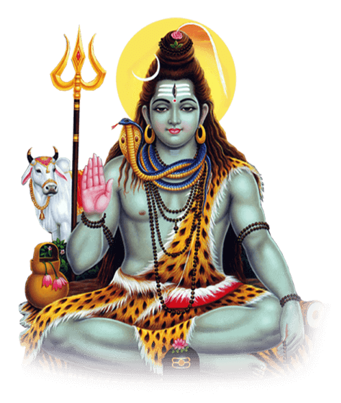 Astrologer Rohit Bhargav